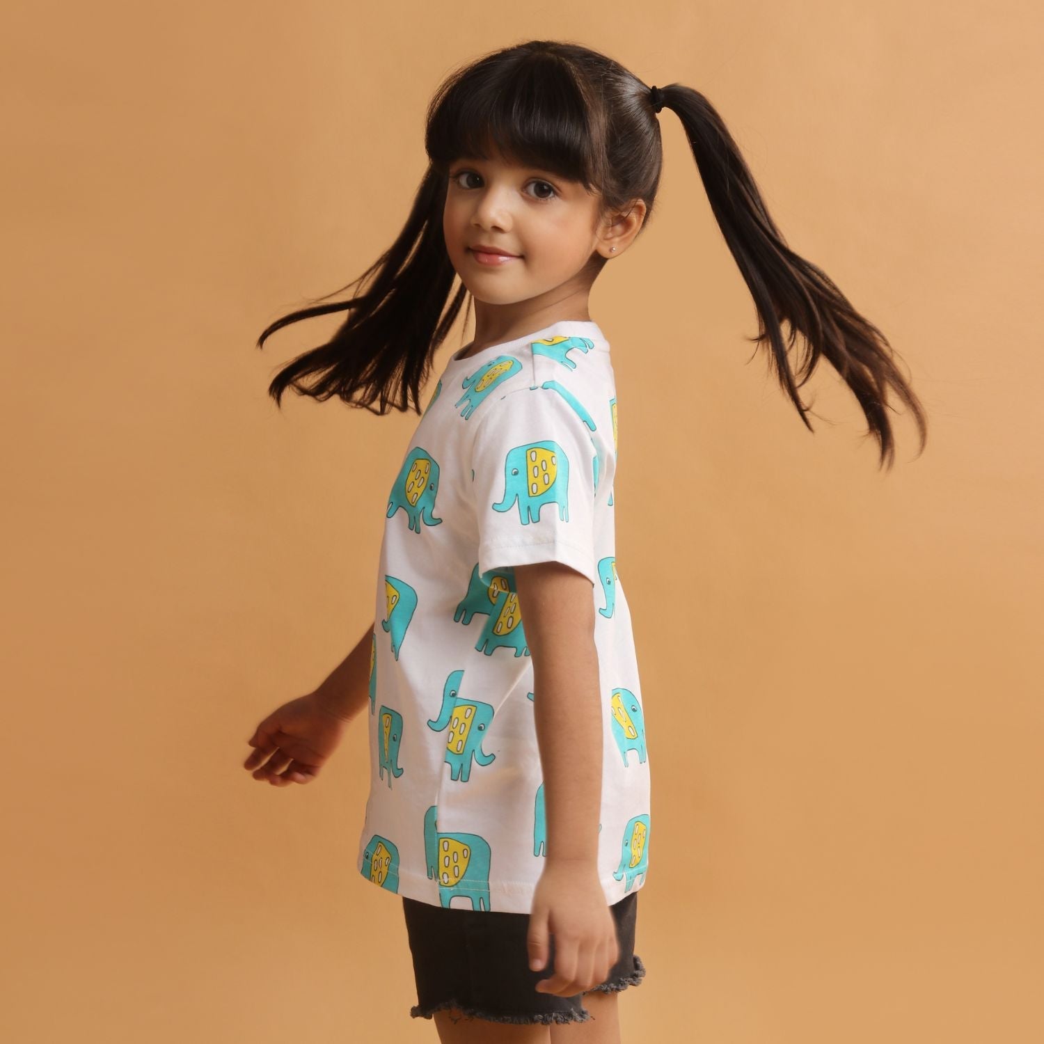 Boy - Elephant Print Short Sleeve Cotton T-Shirt & Shorts Set