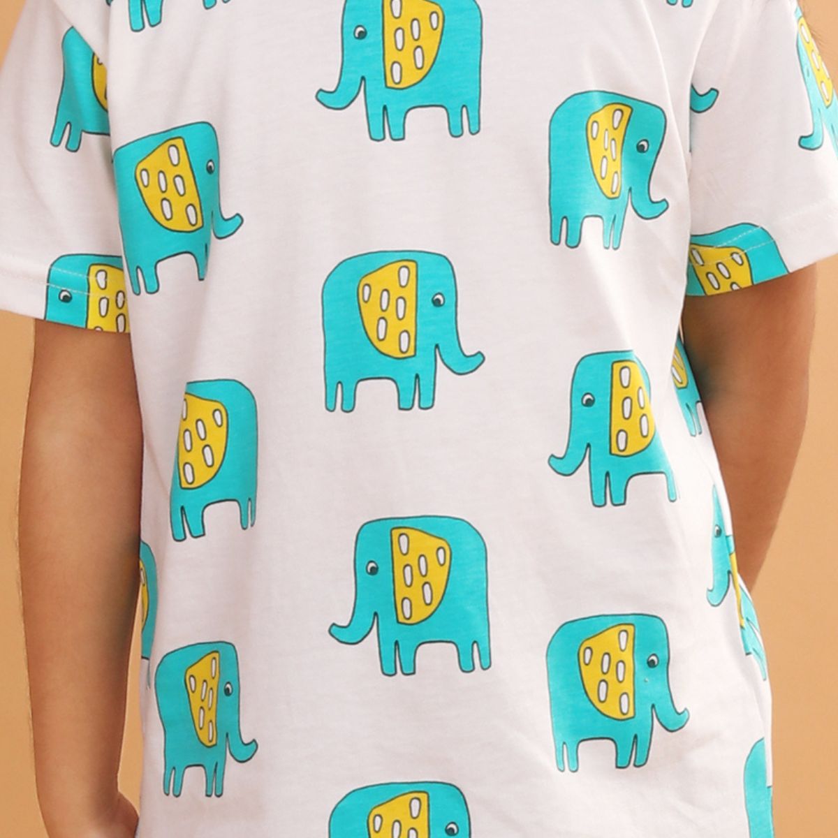 Boy Elephant Print Short Sleeve Cotton T-Shirt & Shorts Set