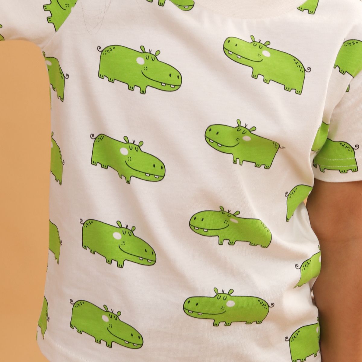 Boy Hippo Print Short Sleeve Cotton T-Shirt & Shorts Set